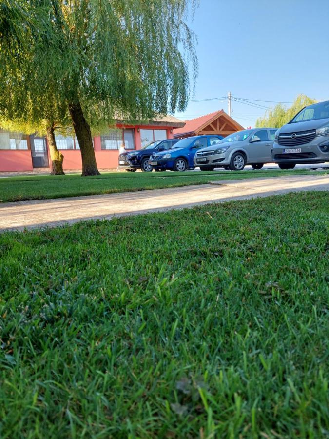 Pensiunea La Tavi Murighiol Zewnętrze zdjęcie